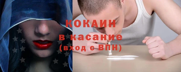 ГАЛЛЮЦИНОГЕННЫЕ ГРИБЫ Аркадак