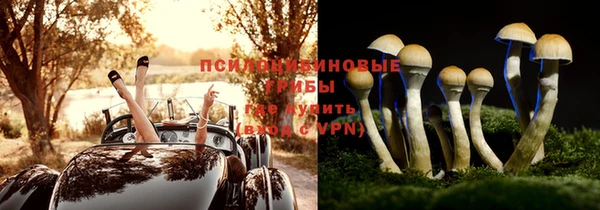 apvp Балахна