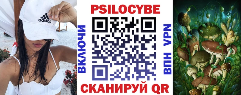 Купить Змеиногорск Псилоцибиновые грибы мухоморы